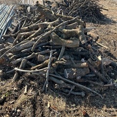燃し木　雑木　薪　など