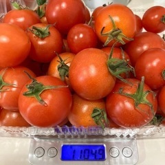 2/5新着✨パック山盛り気味約1kgミニ、中玉トマト混合　