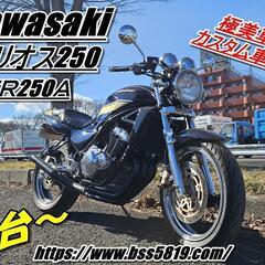 仙台市若林区若林～希少！極美車！カスタム車両！kawasaki/...