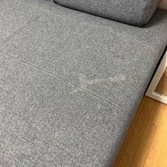 IKEAフロッテボー FLOTTEBO ソファベッド