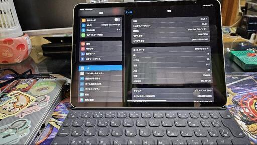 最終値下げ!! ipad pro11インチ 第1世代 256GB セルラーモデル(SoftBank)