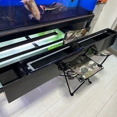 180センチ 上部濾過槽 取引中