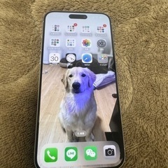 【ネット決済】iPhone15Pro Max ホワイト　256㎇...