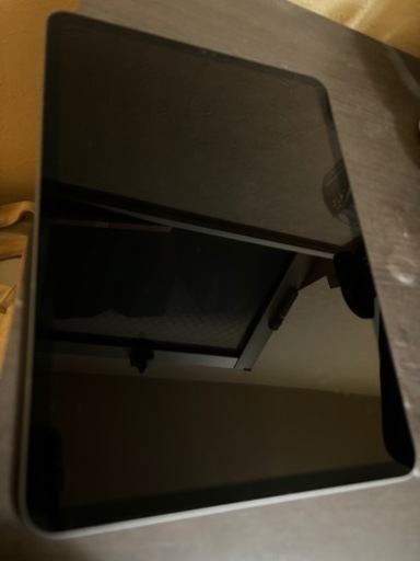 iPad pro 初代 11インチ 256GB