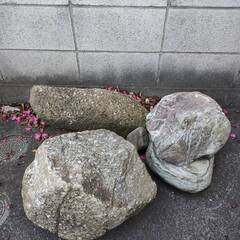 【幸運の石】庭石　ガーデニング　園芸　自然石　盆栽石　インテリア石