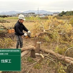 庭木の伐採、抜根致します。