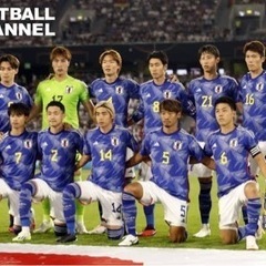 サッカー日本代表戦　　日本対バーレーン観戦