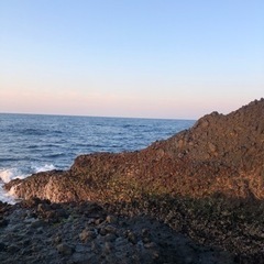 明日魚釣り行きませんか？？