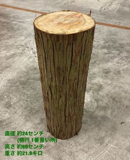杉の丸太