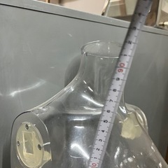 レディーストルソー 婦人トルソー スケルトン 透明 マネキン