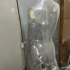 レディーストルソー 婦人トルソー スケルトン 透明 マネキン