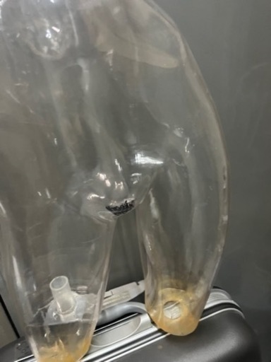 レディーストルソー 婦人トルソー スケルトン 透明 マネキン ストア