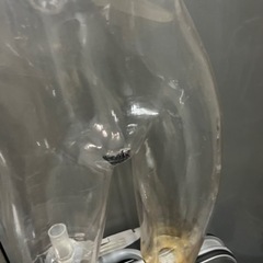 レディーストルソー 婦人トルソー スケルトン 透明 マネキン