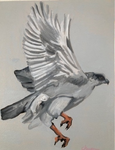 その他 Eagle