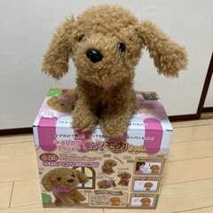 愛犬モカちゃん　呼びかけアクション