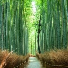 京都のおすすめ教えてください♡