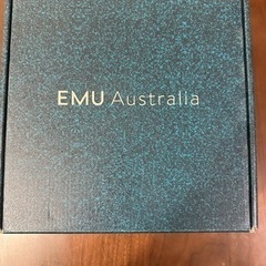 EMU キッズブーツ　19センチ