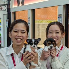 ☆ペットショップワンラブ☆ベルモール宇都宮店　接客・販売・生体管理スタッフ募集 - 宇都宮市