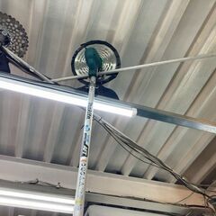 マキタ　18V充電式草刈り機　MUR191LD