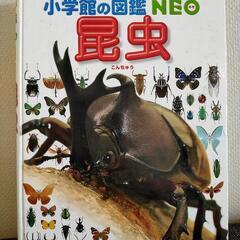 小学館図鑑Neo昆虫