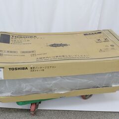 激安 先着順♪ 東芝 AIU-AP565WH 業務用エアコン 天...