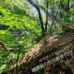  ゆうパックで送るだけ！！横須賀の山林合同散骨代行プランの画像