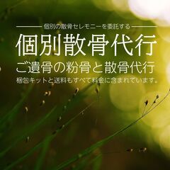 横浜の森で散骨セレモニーを委託！！写真で確認する個別散骨代行プラン - 横浜市