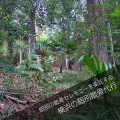横浜の森で散骨セレモニーを委託！！写真で確認する個別散骨代行プランの画像