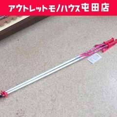 未使用 Hart スキーポール 108cm Frozen j ピ...