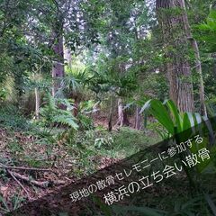 横浜の森で散骨セレモニーに立ち会う！現地に立ち会う貸切個別散骨プラン