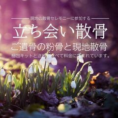 富士山と江の島を見渡す！！逗子の森で散骨セレモニーに立ち会う！現地に立ち会う貸切個別散骨プラン - 逗子市