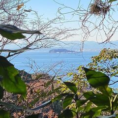 富士山と江の島を見渡す！！逗子の森で散骨セレモニーに立ち会う！現地に立ち会う貸切個別散骨プラン - 冠婚葬祭