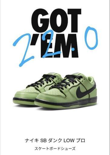 【新品】NIKE パワーパフ \