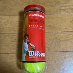 Wilson テニスボール