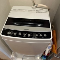 2019年産洗濯機