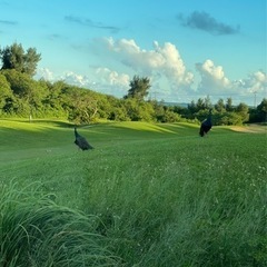 農園の写真を撮る仲間を探してます