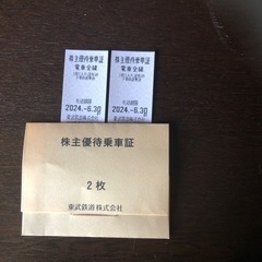 東武鉄道　株主優待乗車証　乗車券　2枚　2024年6月30日まで