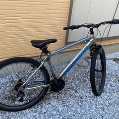 シュウィンマウンテンバイク