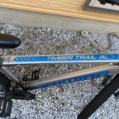 シュウィンマウンテンバイク