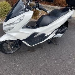 【ネット決済】PCX125cc JF81  