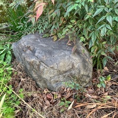 大きな庭石