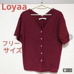 決まりましたLoyaaのシャツ