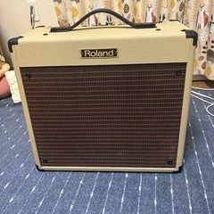 Roland Blues cube BC30 ギターアンプ