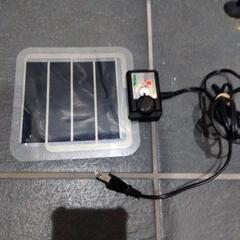 イエアメガエル３匹と飼育ケージ