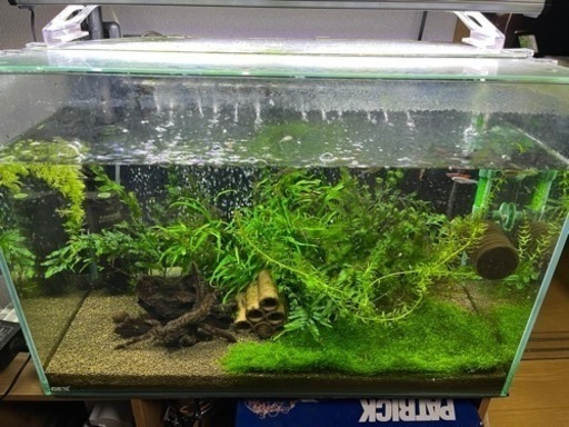 60cm水槽セット