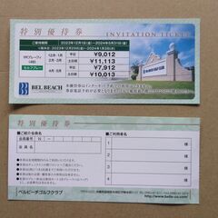 【ネット決済・配送可】ベルビーチ 特別優待券2枚（～2024/0...