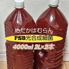 PSB光合成細菌4000ml（2L×2本）