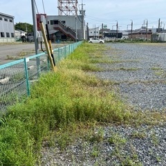 草刈り、伐採、剪定、除草剤散布 太陽光管理、草の管理