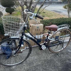 ロココの自転車