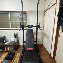 ダンベルとFITMATE 懸垂　ぶら下がり健康器　懸垂マシン